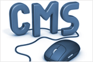 CUSTOM CONTENT MANAGEMENT